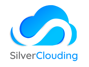 A Shopify Plus Expert Agency - SilverClouding